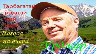 картинка: Урджар прогулка на природе 25мая 2025г