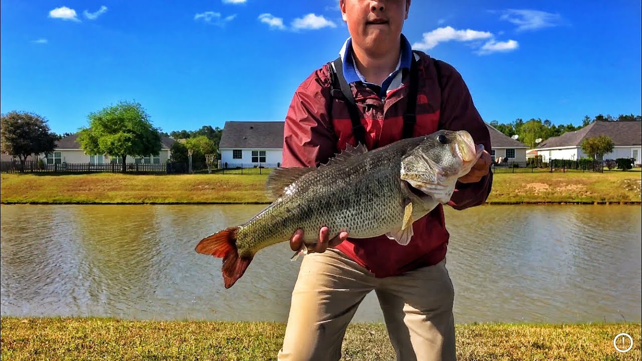 I caught another absolute TANK! Creek bass fishing 