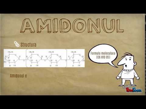 Polizaharide- Amidonul