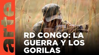 Congo: Salvar a los gorilas (2017) | ARTE.tv Documentales by ARTE.tv Documentales 2,042 views 2 days ago 33 minutes