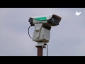 Avix autonomic mark ii robotic laser bird repellent