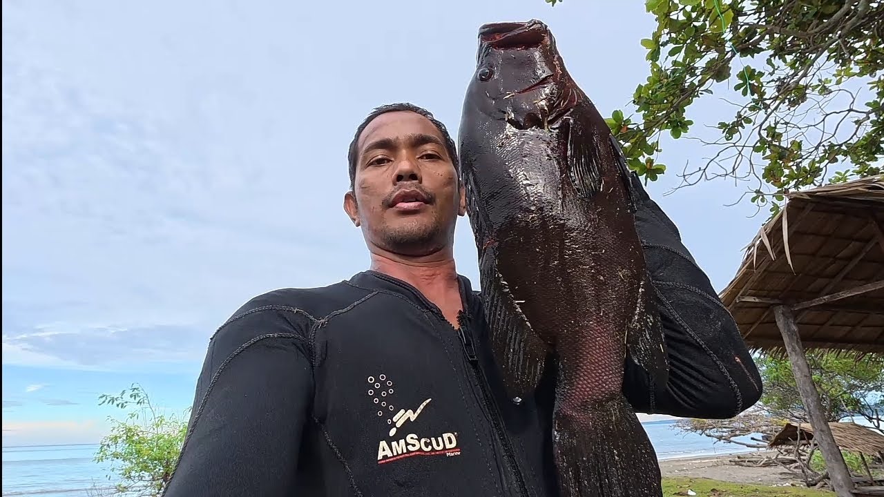 Big redmouth grouper