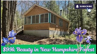 $99k Beauty in New Hampshire Forest 🌲