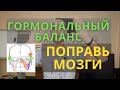 Как улучшить гормональный фон. Остеопатия и кинезиология