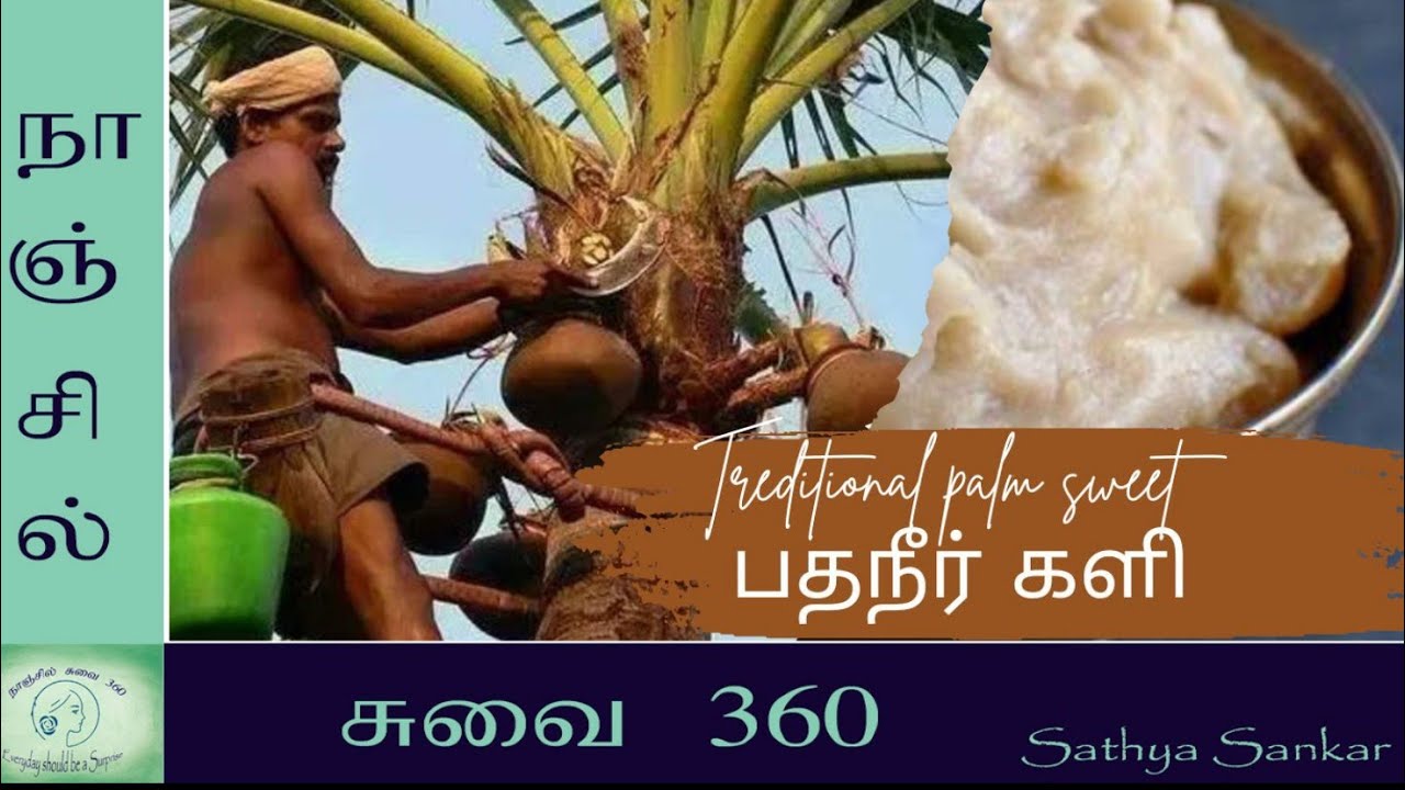 பதநீர் களி || Pathaneer || Pathaneer recipe in tamil | Treditional palm ...