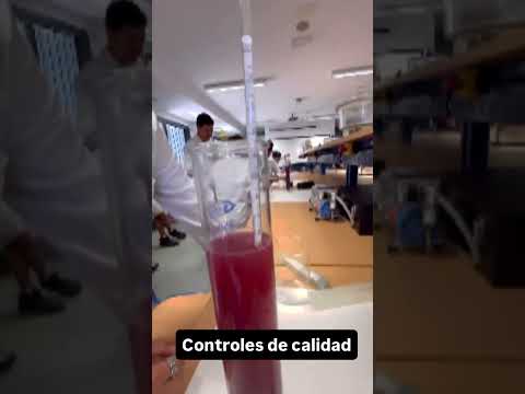 Elaboración de vino en el IES Emilio Canalejo Olmeda | Inicio de curso en Industrias Alimentarias