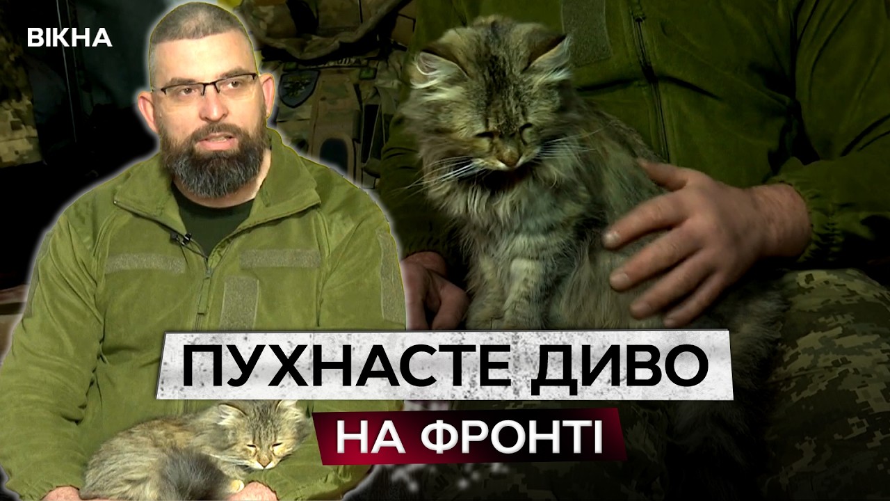 ЛОВИЛА МИШЕЙ У БЛІНДАЖІ ТА РЯТУВАЛА ЖИТТЯ! Кішка МУСЯ – пухнастий оберіг 128 бригади!