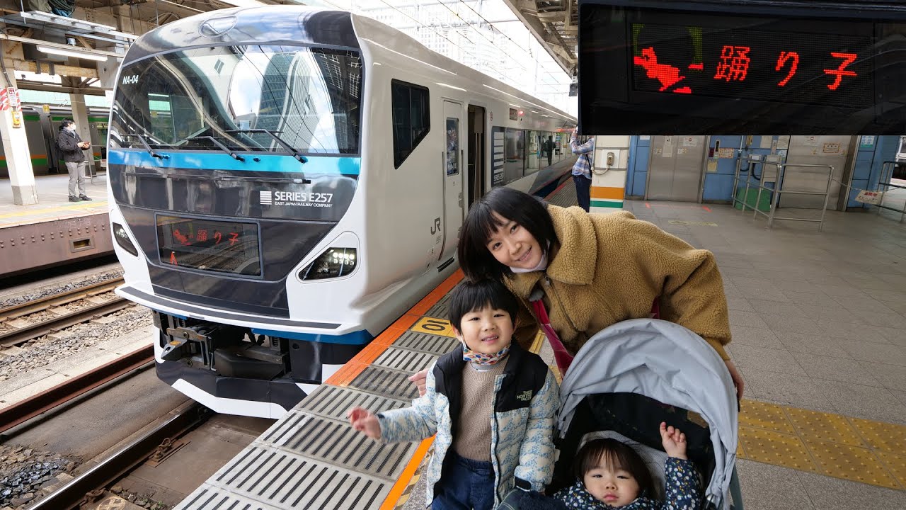 E257系リニューアル踊り子 以前普通席だった所のグリーン席にのってきた