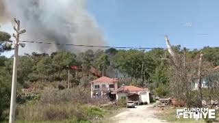 Fethiye’de çıkan orman yangınında 5 dönümlük alan zarar gördü