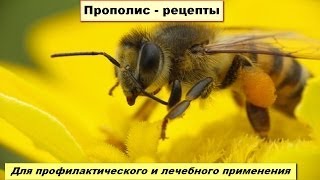 Прополис рецепты Часть 4(, 2014-02-17T19:21:08.000Z)