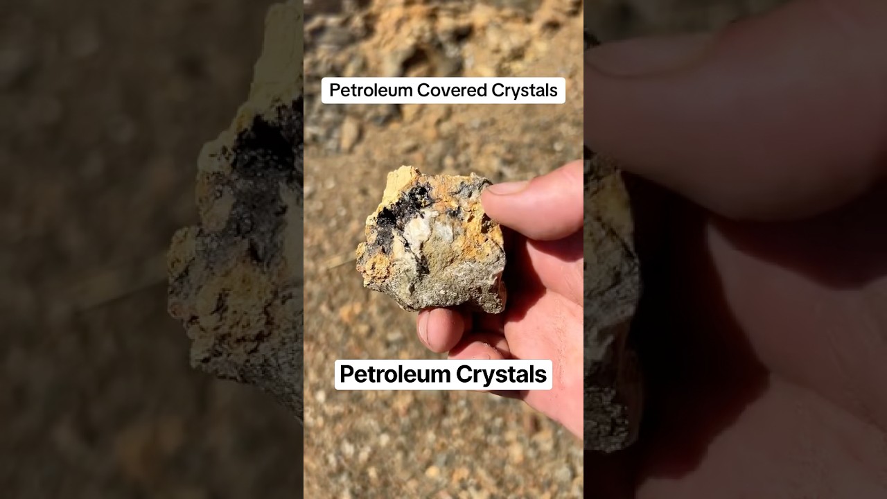 Petroleum Crystals #crystals #petroleum #rockhound #rockhounding #agate #geode #geology #dinosaur #c