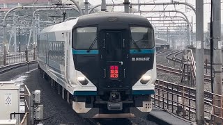 【青いニゴナナが代走！】E257系2500番台ｵｵNC-31編成が特急草津・四万2号上野行きとして赤羽駅3番線に到着するシーン（3002M）2024.3.25.15:14