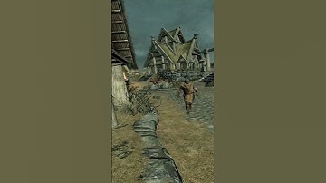 I looked it up but feel free to explain it in the comments anyway  #skyrimvr