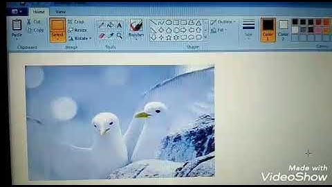 Class 3rd | Chapter 5: Working With MS-PAINT (Part 3)