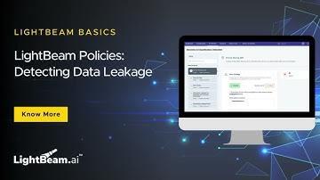 LightBeam Policies: Detecting Data Leakage