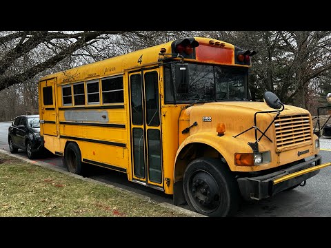 EXX. MCPS Bus (ex. Palm tree schools bus) 2001 International 3800 AmTran #8(EXCLUSIVE)