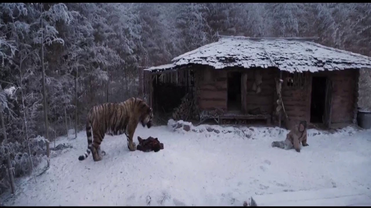 The Tiger: An Old Hunter's Tale www.youtube.com