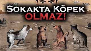 Sokakta Köpek Olmaz!