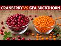Cranberries or Sea Buckthorn Daily: What Actually Works Better!