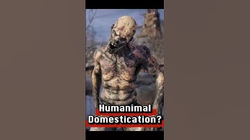 The Secret Trade of Humanimals! #metrolore #gaming #lore