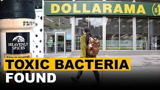 Dollarama Recalls Garlic Powder Over Dangerous Microbial Contamination?