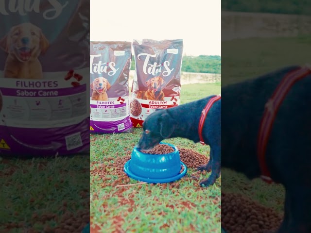 Ração Titu’s COMIGO: nutrição que os pets aprovam