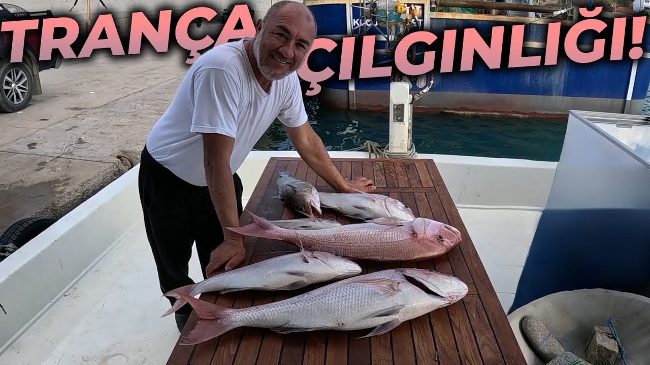 ZÜRAFA KAYALIĞI'NDA TRANÇA ÇILGINLIĞI! | OLTAYLA İNDİR-BİNDİR TRANÇA!