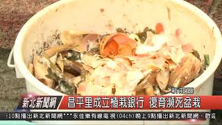 1070413新北新聞網04 新莊區昌平里成立植栽銀行 復育瀕死盆栽