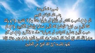 من أفضل القراء الجزائريين الشيخ أبوبكرمومني حفظه الله ما تيسرمن سورة القصص والعنكبوت