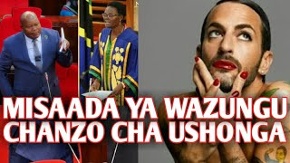MISAADA YA WAZUNGU CHANZO CHA USHOGA TANZANIA | MBUNGE AFICHUA NJIA WANAZOTUMIA