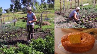 CINZA-NÃO DEITEM FORA ANTES DE VEREM ESTE VIDEO-BOLO DE MILHO SEM ÓLEO SEM FARINHA