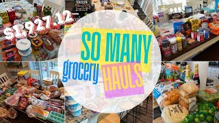 HUGE Grocery Haul || Large Family Grocery Shopping