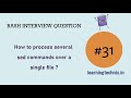 BASH Interview Question #31: How to process several sed commands over a single file ?