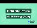 DNA Structure: GCSE Biology (AQA)