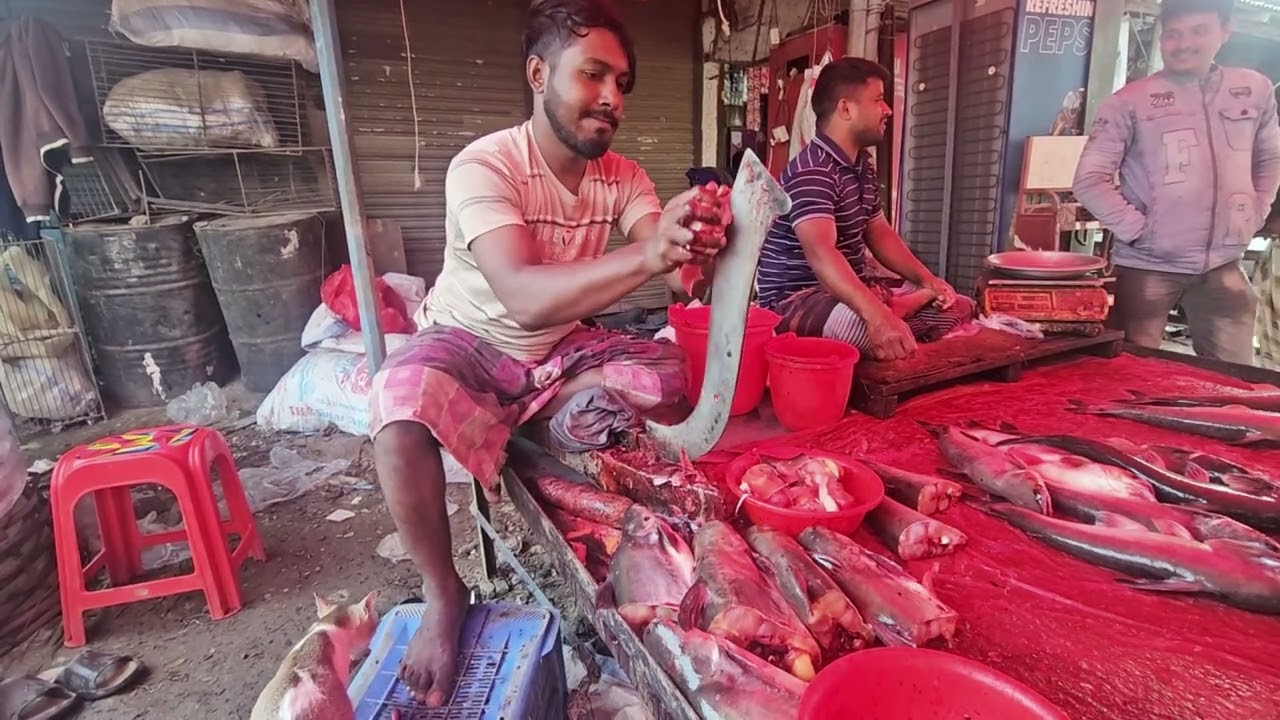 Ultra-Fast Fresh Fish Cutting on Kingfish in Busy Bazaar | 123 Dance Media