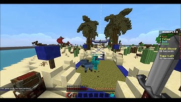 Hacker on sheep quest Mineplex