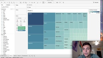 Nick Monteferrante Tableau project USF