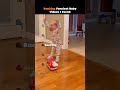 Ranking Funniest Baby Videos I Found #shorts #ranking