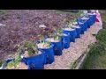 The Underground Hybrid Self Watering Rain Gutter Style Grow System Is Done! Grow Baby Grow!