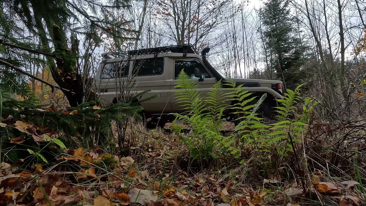 Toyota Land Cruiser 78 (Troopy , Bushtaxi) [2]