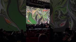 Санкт-Петербургский струнный оркестр Olympic Orchestra. Первая скрипка, соло; популярная классика