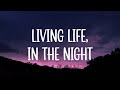 Cheriimoya & Sierra Kidd – Living Life, In The Night (Lyrics)