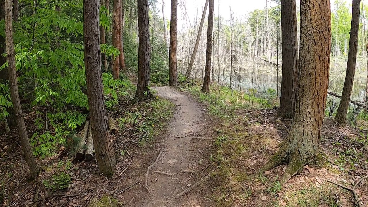 virtual mountain biking