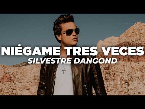 Silvestre Dangond - Niégame Tres Veces (Letra)
