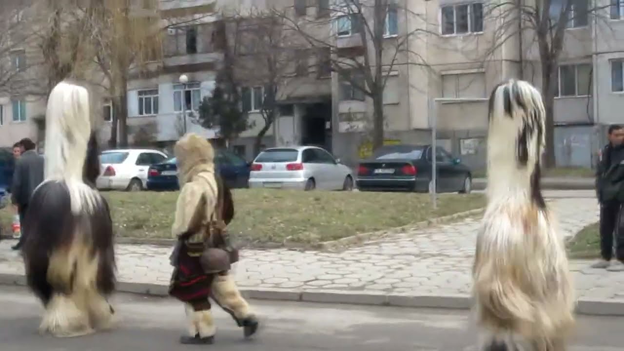 Сурва Струмско 14.01.2013 (2)