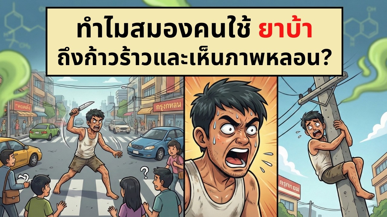 ทำไมสมองคนใช้ (ยาบ้า) ถึงก้าวร้าวและเห็นภาพหลอน? | เรื่องไม่รู้รอบตัว