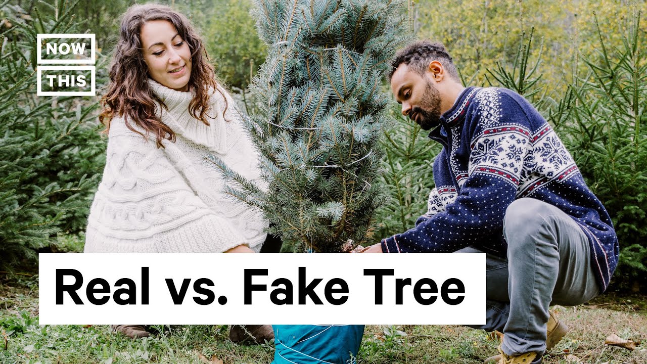 Are Real or Fake Christmas Trees Better for the Environment? YouTube