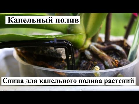 Крапельниця садова Presto-PS "Спиця" 2 л/год (2102B), видео 1