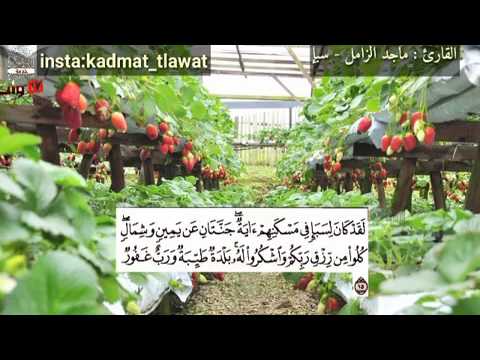 لقد كان لسبأ في مسكنهم آية للشيخ ماجد الزامل