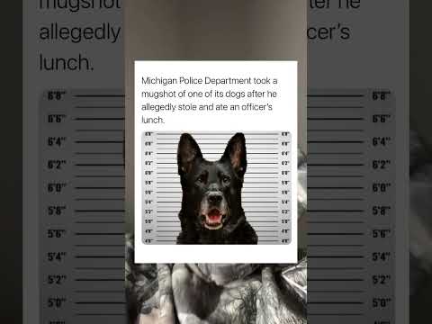 Don T Take The Lunch